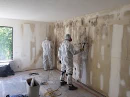 Best Mold Documentation for Insurance Claims  in Mino, CA